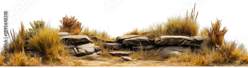 Dry Rocky Landscape with Grassy Vegetation