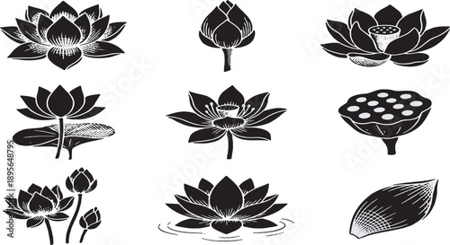 Collection of stylized black and white lotus flower illustrations, including buds, full blooms, and seed pods.