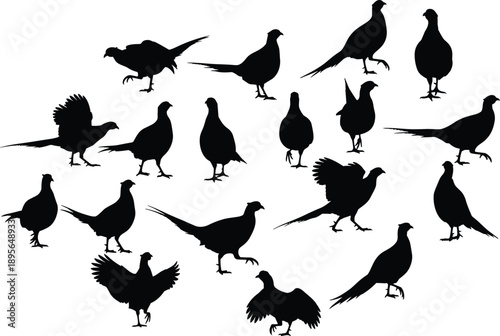 Pheasant bird silhouettes set showing different poses wild game birds isolated on white background black vector illustration