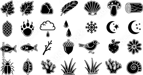 Nature Elements Black  White Glyph Icons Set: Outdoors, Weather, Animals, Plants, and Sea Life Symbols Collection