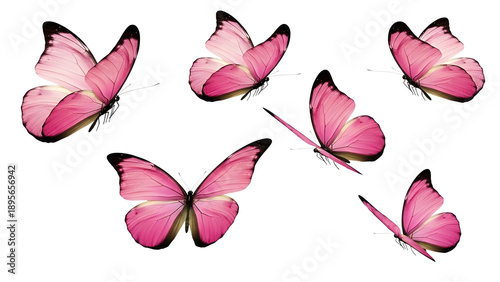 Multiple vibrant pink butterflies flying isolated on white background