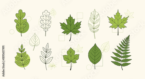 Elegant foliage collection featuring a variety of stylized leaves on a serene background