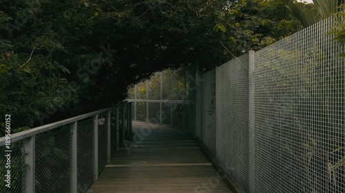 An Empty natural Pathway Tunnel on the edge of Upper Seletar Reservoir in Mandai Boardwalk, Singapore.