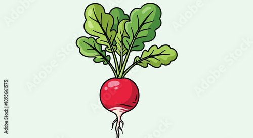 Illustration of a Radish with Green Leaves and White Roots on Light Background