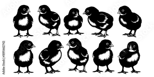 Cute baby chicks' silhouettes collection farm animals.
