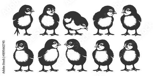 Cute baby chicks' silhouettes collection farm animals.
