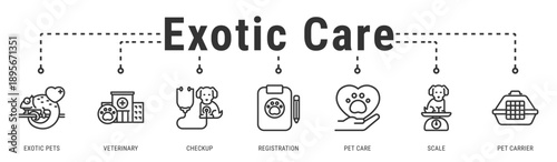 Exotic Care banner representing specialized veterinary services and proper handling for exotic animal health management