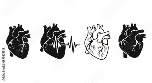 Heartbeat Anatomy: Medical Vector Icons