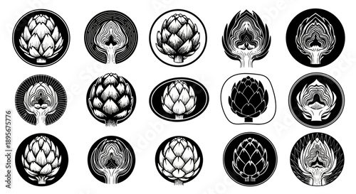 Artichoke Vector Icons Set. Organic Food Symbols