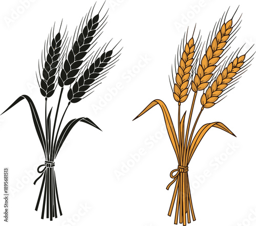 Wheat ear bundle illustration set in black and golden colors, agricultural grain harvest symbol for farming, food, and natural design concepts