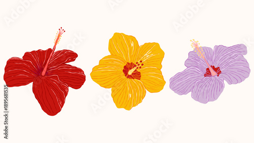 Hand drawn set of various hibiscus flower. Hibiscus flower doodle collection.