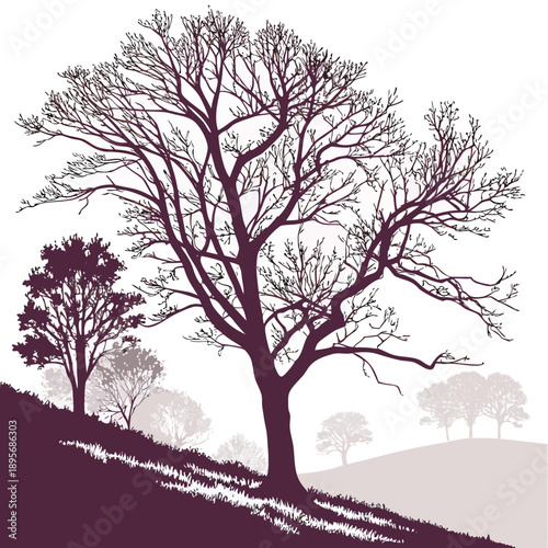 Winter silhouette of a lone tree