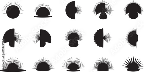 Collection of various sun and moon phase silhouettes icons