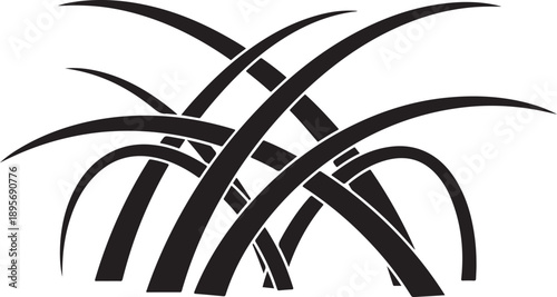 Black and white abstract curved lines illustration design element