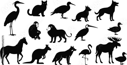  Detailed Black Silhouettes of Diverse Wild and Domestic Animals Including Lion Horse Kangaroo and Various Birds for Nature Wildlife and Children Education Designs,