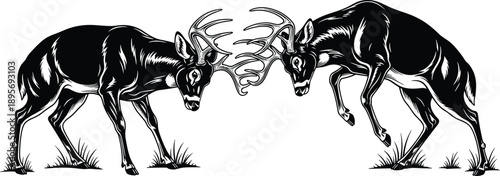 Detailed Black Silhouettes of Two Male Stag Deer Clashing Antlers in a Powerful Fighting Pose for Wildlife Nature Hunting and Wilderness Designs,