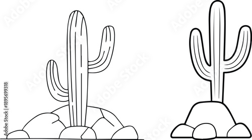 cactus desert line art vector illustration minimal plant