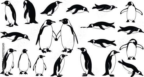Black and white penguin silhouette illustration set featuring multiple poses including standing, walking, swimming and diving, isolated vector wildlife collection on white background