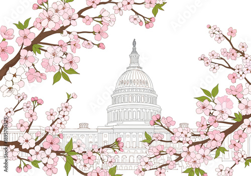 United States Capitol Building framed by blooming cherry blossom trees.