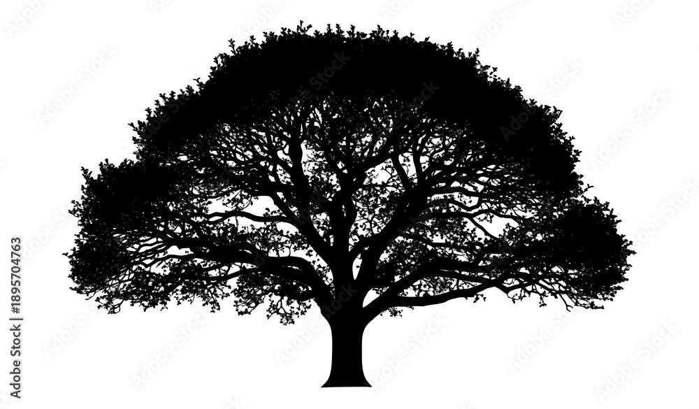 Obraz premium Forest apple tree silhouette detailed nature vector isolated on transparent background