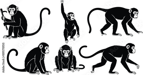 Black and white illustration of five monkeys in different poses, expressive primate movements on branches, artistic wildlife drawing for educational use