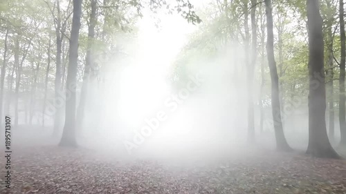 Ethereal mist drifts through a sunlit forest, creating a magical and serene atmosphere.