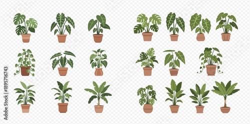 Collection of various potted houseplants, including monstera, philodendron, and other tropical foliage for interior decoration.