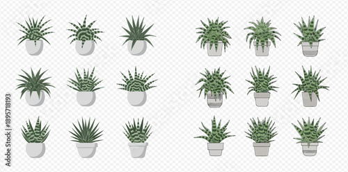 Set of various green potted houseplants, including succulents and aloe vera, for home and office decoration.