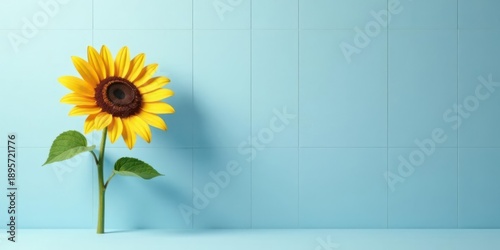 A single vibrant sunflower stands tall against a serene light blue tiled backdrop, its bright yellow petals contrasting beautifully with the calm background, creating a minimalist yet cheerful scene.