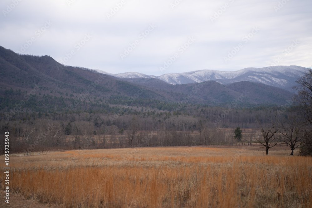 Obraz premium Expansive mountainous lands