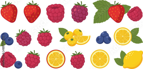 Fresh Berry and Citrus Fruit Illustration Set with Strawberries, Raspberries, Blueberries, Lemons, and Oranges Flat Vector Collection for Food Design