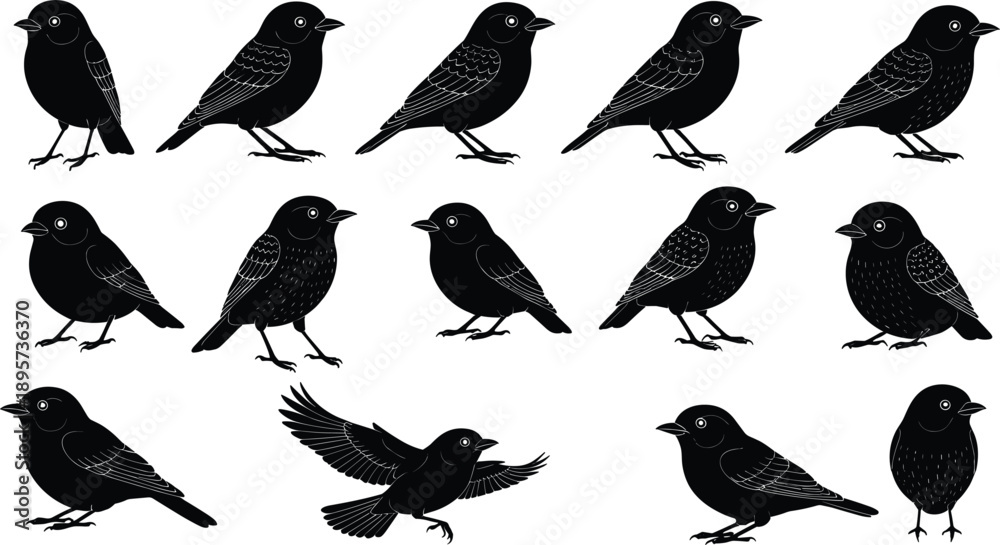 Fototapeta premium Black Bird Silhouette Vector Set with Flying and Standing Bird Shapes for Wildlife Design, Nature Illustration, Logos, and Decorative Graphics