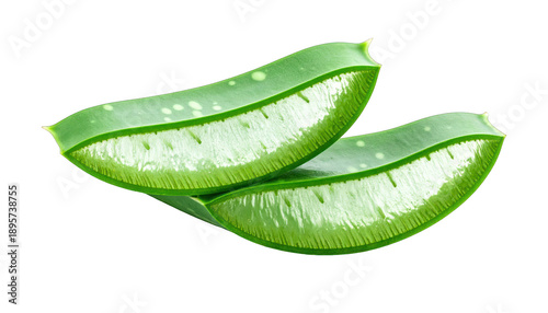 Two translucent aloe vera slices, bright green with visible pulp and a dark background
