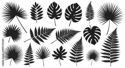 Tropical Leaves Silhouettes Vector Set