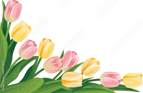 A digital illustration of a corner border design featuring pink and yellow tulips against a pure white background.
