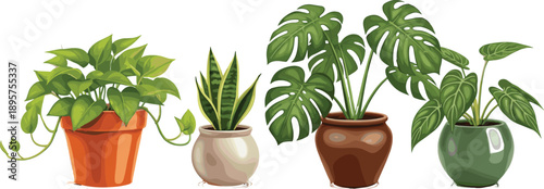 Set of realistic indoor houseplant illustrations in colorful ceramic pots, tropical monstera, snake plant, and pothos foliage vector isolated on white background.