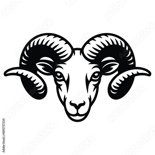 vector illustration of a sheep