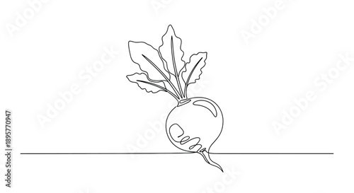 Minimalist single line drawing of a fresh radish with green leaves and root on a white background representing healthy eating and organic produce