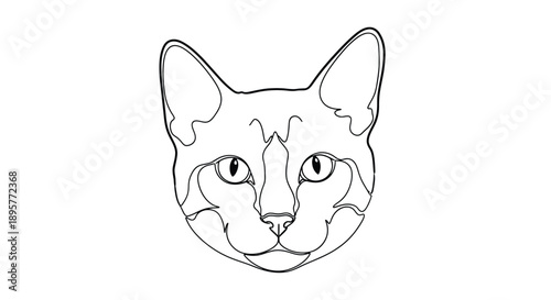 Artistic outline drawing of a domestic cat s face with expressive eyes and pointed ears on a clean white background