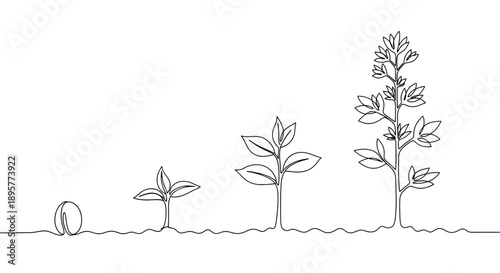 Continuous line drawing illustrating the growth stages of a plant from a seed to a mature flowering plant in soil