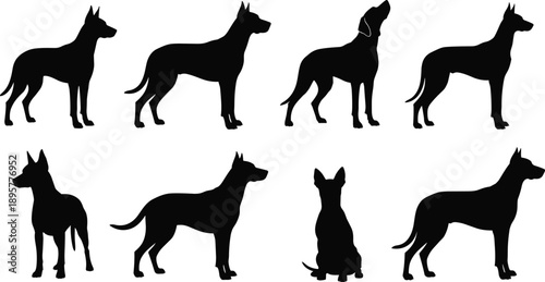 Eight dog silhouettes in various poses, black illustration, pet posture design, animal shape concept, minimalist canine art