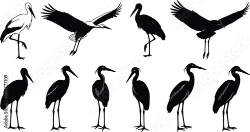Ten stork and heron silhouettes in flight and standing poses, black illustration, bird design, nature concept, minimalist art