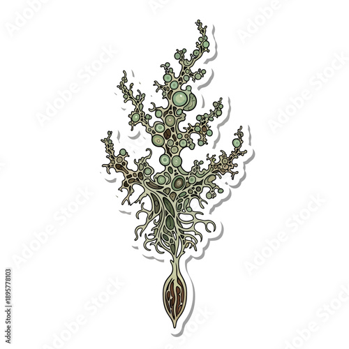 Illustration of a plant with green leaves and roots, showcasing its botanical structure from a detailed, close-up perspective