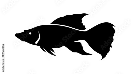 Majestic black fish swimming with elegant fins in water