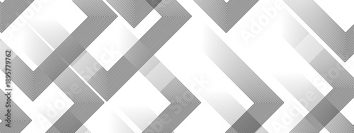 Geometric diagonal oblique vector curve gradient black and white graphic stripe line. Repeated fine diagonal lines Thin slash line stripes diagonal vector elegant background.