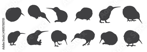vector kiwi bird silhouettes