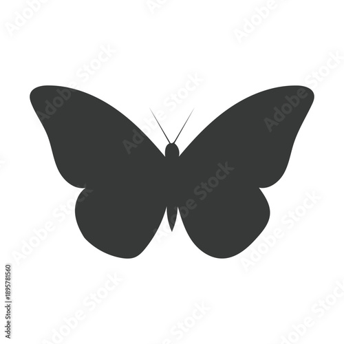 Black butterfly silhouette