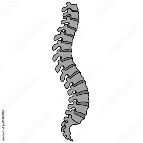 A cartoon illustration of a human spine with a cute, dragon-like design on a white background.