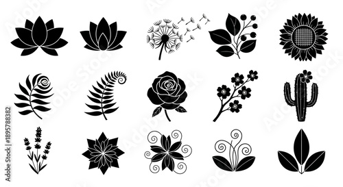 Botanical Silhouette Vector Set. Floral Elements