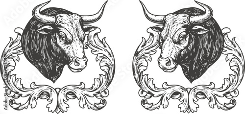 vintage bull head illustration with ornamental scrollwork frame, wild animal tattoo design